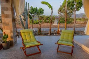 - deux chaises jaunes et vertes sur une terrasse dans l'établissement G & M Beach House, à Haraki