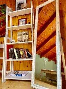 a mirror in front of a shelf with books at Luxury Family House with Backyard in Mantoúkion