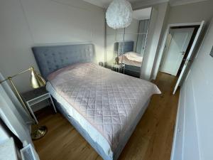 a bedroom with a large bed and a mirror at Sucha Street Apartments, Nowa Letnica,Gdańsk in Gdańsk