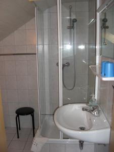 a bathroom with a sink and a shower at Pension Wiesenau in Bayerisch Eisenstein