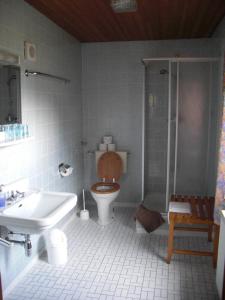 a bathroom with a toilet and a sink and a shower at Pension Wiesenau in Bayerisch Eisenstein
