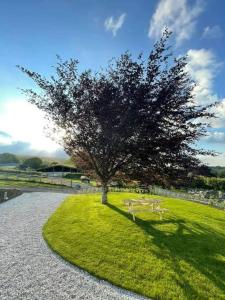 un árbol sentado en el césped junto a un banco blanco en Elvan Farm Shepherd's Hut, en Exeter