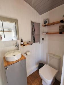 Kamar mandi di Elvan Farm Shepherd's Hut