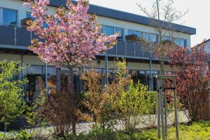 an office building with a flowering tree in front of it at Fördeloft 2 in Nieby