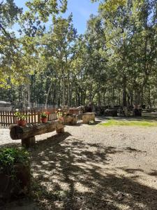 Ein Garten an der Unterkunft Camping Las Cavenes