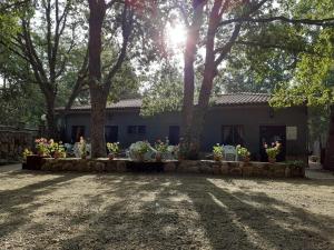 Ein Garten an der Unterkunft Camping Las Cavenes