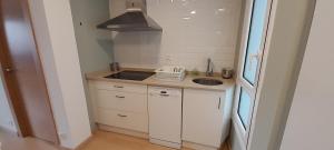 a small kitchen with a sink and a counter top at Piso Covian in Ribadesella +4 photos