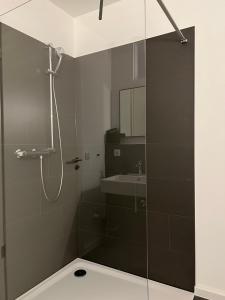 La salle de bains est pourvue d'une douche et d'un lavabo. dans l'établissement Apartmenthaus Stade Schwingewiesen Apartment 3, à Stade