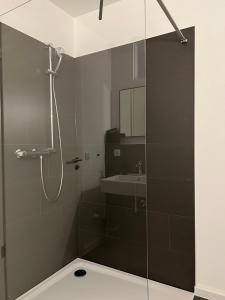 a bathroom with a shower and a sink at Apartmenthaus Stade Schwingewiesen Apartment 3 in Stade