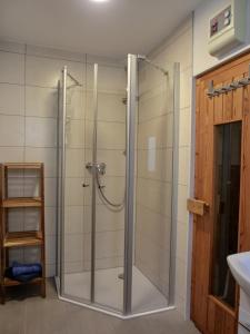 een douche met een glazen deur in de badkamer bij Ferienhaus FH9 in Graal-Müritz