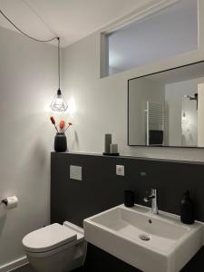 a bathroom with a sink and a toilet and a mirror at Apartmenthaus Stade Schwingewiesen Apartment 5 in Stade