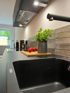 una cocina con fregadero y una planta en una tabla de cortar en Apartmenthaus Stade Schwingewiesen Apartment 5, en Stade