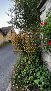 Jardín al aire libre en Winzerhäuschen Kern
