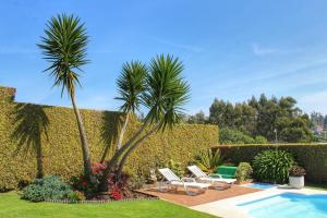 un jardin avec deux palmiers et une piscine dans l'établissement Hogar Gallán, à Gondomar