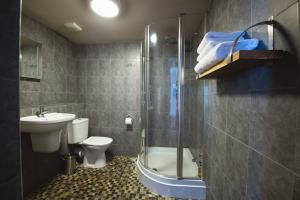 a bathroom with a shower and a toilet and a sink at RHUBARB at Drapers Hall in Shrewsbury