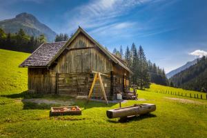 an old barn in a field with a slide at Hauserlhütte in Zederhaus