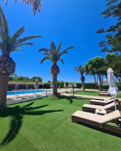 un gruppo di sedie a sdraio e palme accanto alla piscina di Abella Hotel ad Agia Marina Nea Kydonias