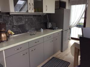 eine Küche mit einer Theke und einem Kühlschrank in der Unterkunft Haus Irena  in Longkamp