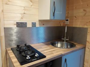 Кухня или мини-кухня в Rowan - Luxury Eco Pod at Trewithen Farm Glamping
