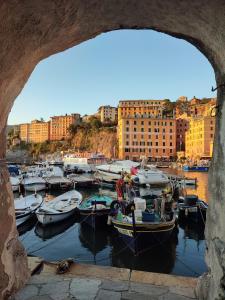 a bunch of boats are docked in a harbor at La casa di Yuri - Free Private Parking & Air Conditioning in Recco