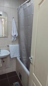 y baño con cortina de ducha y lavamanos. en Apartman Kasija, en Jagodina