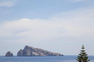 un albero di fronte a un'isola in acqua di Hotel La Terrazza a Panarea