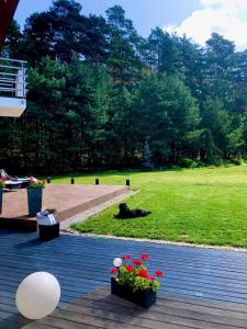 a deck with flowers in pots and a grass field at Apartament przy lesie in Chojno