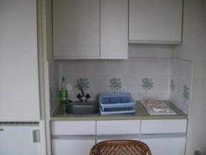 Virtuvė arba virtuvėlė apgyvendinimo įstaigoje Appartement Saint-Cyprien, 1 pièce, 4 personnes - FR-1-225D-152