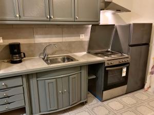 Kuchyň nebo kuchyňský kout v ubytování A&D City Apartment + 10 fotografií