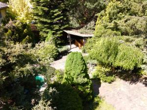 an overhead view of a garden with trees and a house at Pokoje Rezydencja Parysa in Lublin