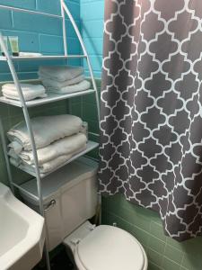 a bathroom with a toilet and a shower curtain at Lake Point Motel in Marblehead