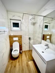 a bathroom with a toilet and a sink at Daman Villa in Bihać
