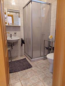 een badkamer met een douche, een toilet en een wastafel bij Weingut Piewald in Gut am Steg