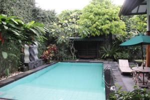 Kolam renang di atau dekat dengan Griya Yunika