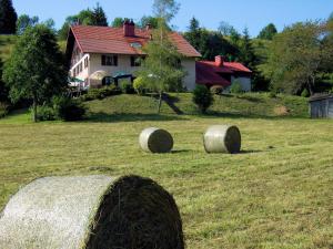 Zahrada ubytování Le Castel Blanc