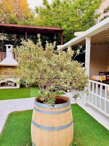 Zahrada ubytování Karteros Hotel