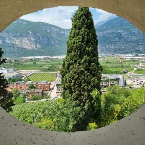a large tree in front of a city at Maso Kreuzberg in Trento