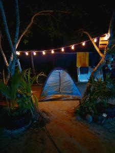 a tent is set up in a yard at night at Casa de los Santos Camping y eco cabañas in Holbox Island