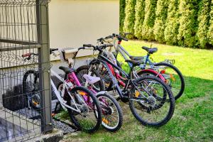 Jazda na bicykli v okolí ubytovania Czarny Kot Mazury Dom Całoroczny