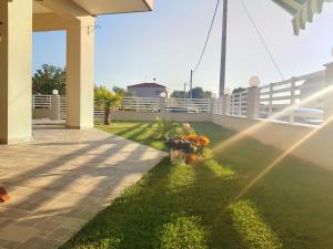 Zahrada ubytování Mango apartment