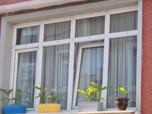 un grupo de ventanas con plantas en ellas en Golden Tulip Suite Apart, en Estambul