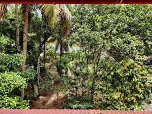 Zahrada ubytování Anandam Stays - Premium 3BHK plush homestay, Vaikom near Kumarakom