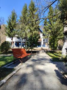 Aed väljaspool majutusasutust Hotel Parc Geoagiu Bai
