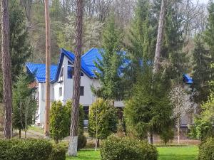 Aed väljaspool majutusasutust Hotel Parc Geoagiu Bai