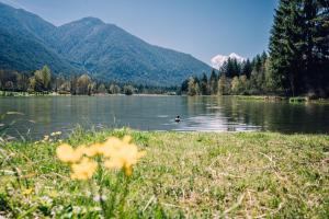 Zdjęcie z galerii obiektu HENRI Country House Seefeld w mieście Seefeld in Tirol