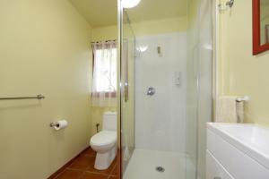 a bathroom with a shower and a toilet and a sink at The Berry Farm Retreat in Hastings