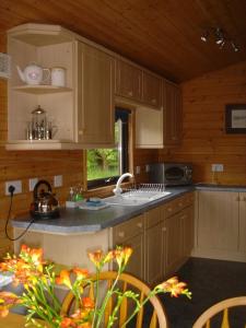 a kitchen with a sink and a counter top at Loch Lomond Lodge in Rowardennan