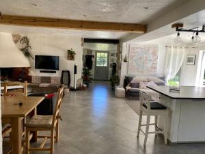 kuchnia i salon ze stołem i krzesłami w obiekcie Villa Familiale piscine, spa, entre Cannes et Nice w mieście Châteauneuf
