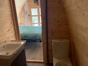 a bathroom with a toilet and a sink and a bed at La cabane du Panda in Abrest