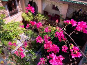 un ramo de flores rosas en un jardín en Riad Toyour- Riad of birds, en Fez